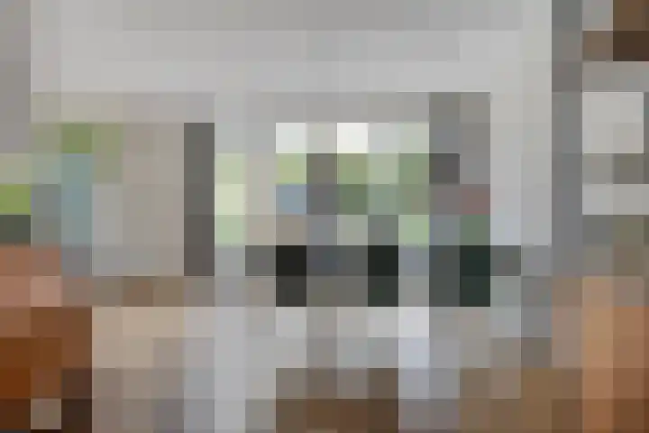 Vossehol 55 Cuijk thumbnail 16