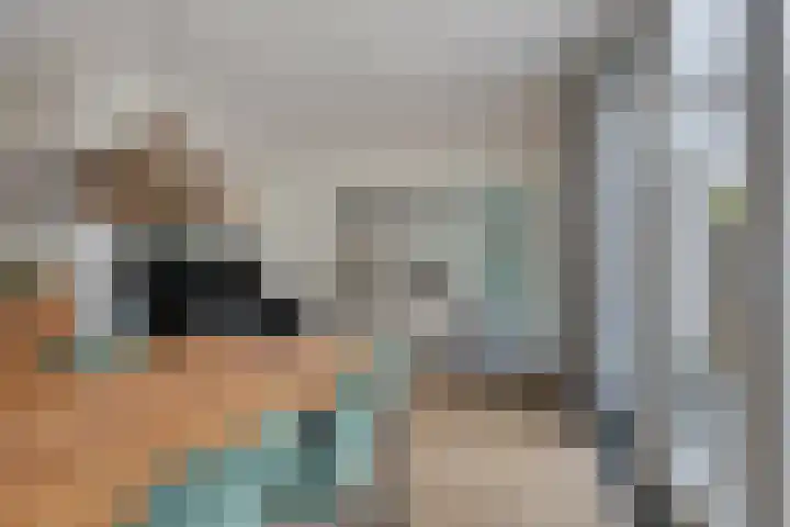 Vossehol 55 Cuijk thumbnail 19