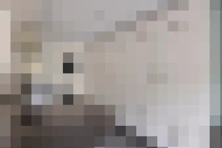 Vossehol 55 Cuijk thumbnail 21