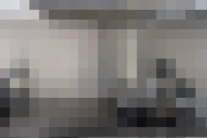 Vossehol 55 Cuijk thumbnail 22