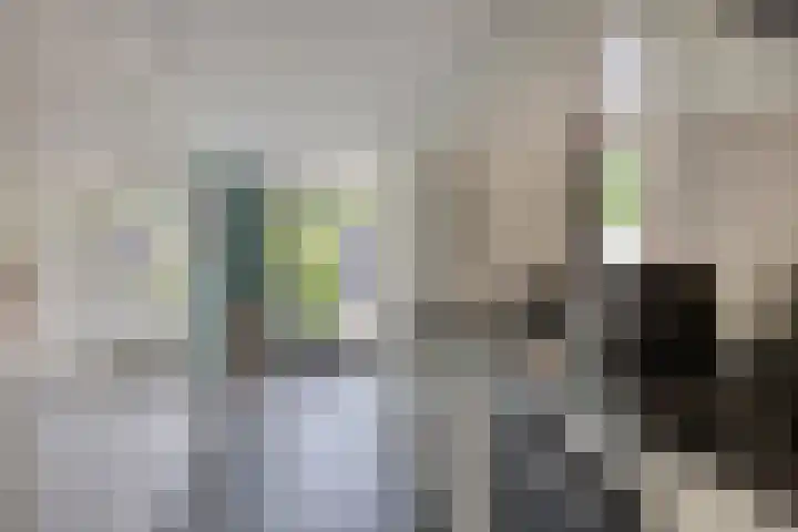 Vossehol 55 Cuijk thumbnail 23