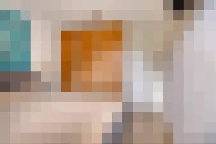 Vossehol 55 Cuijk thumbnail 25