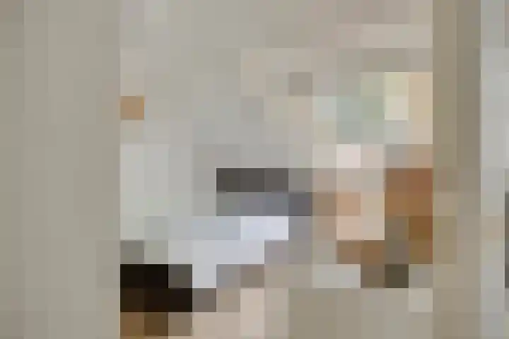 Vossehol 55 Cuijk thumbnail 28