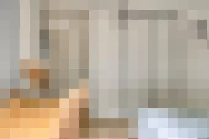 Vossehol 55 Cuijk thumbnail 29