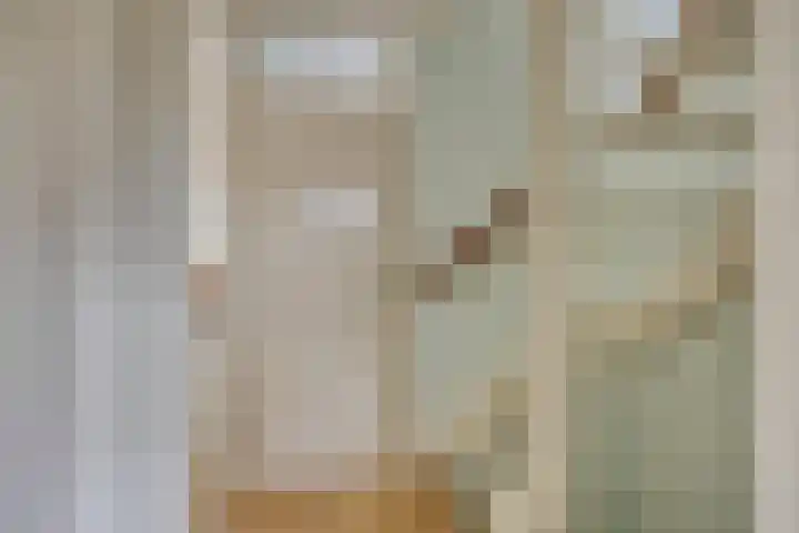 Vossehol 55 Cuijk thumbnail 31