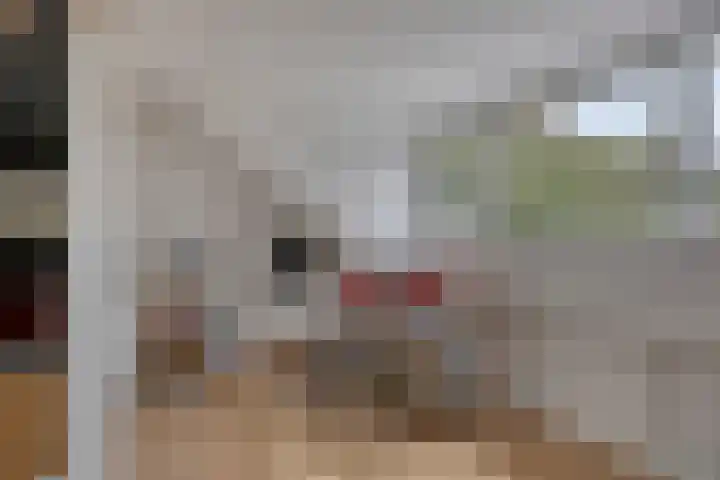 Vossehol 55 Cuijk thumbnail 32