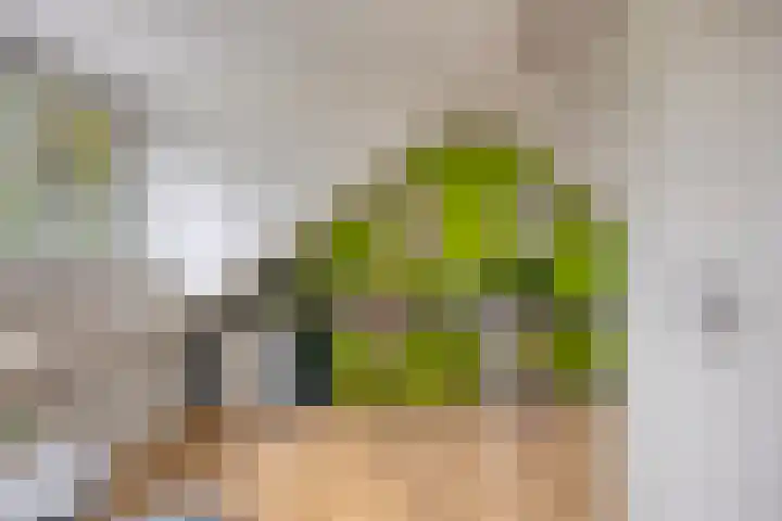 Vossehol 55 Cuijk thumbnail 33