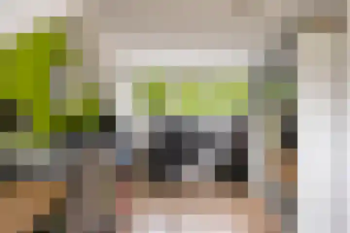 Vossehol 55 Cuijk thumbnail 34