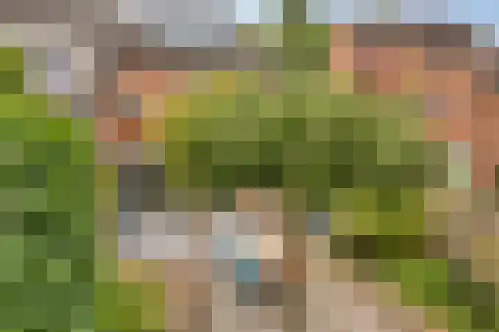 Vossehol 55 Cuijk thumbnail 35