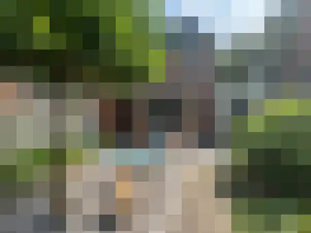 Vossehol 55 Cuijk thumbnail 37