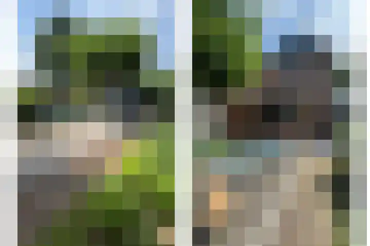 Vossehol 55 Cuijk thumbnail 39