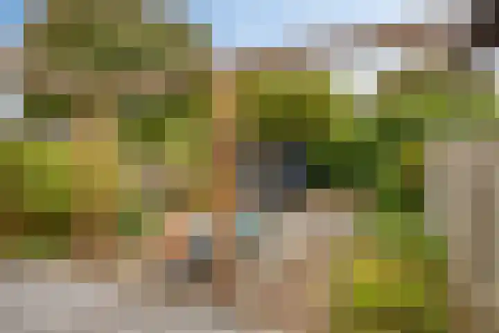 Vossehol 55 Cuijk thumbnail 40