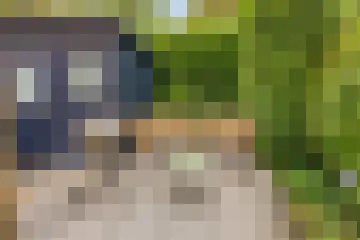 Vossehol 55 Cuijk thumbnail 41