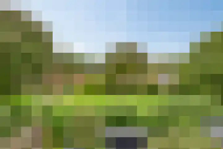 Vossehol 55 Cuijk thumbnail 43