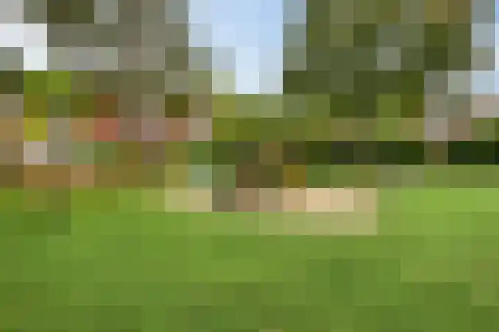 Vossehol 55 Cuijk thumbnail 45