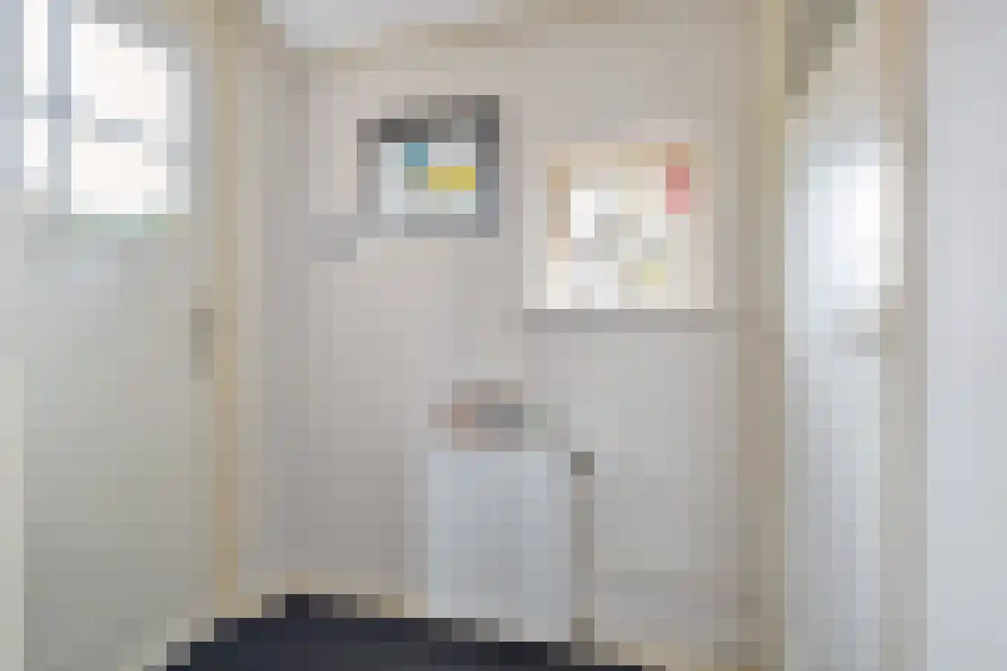 Vosseleane 2 Woudsend thumbnail 12