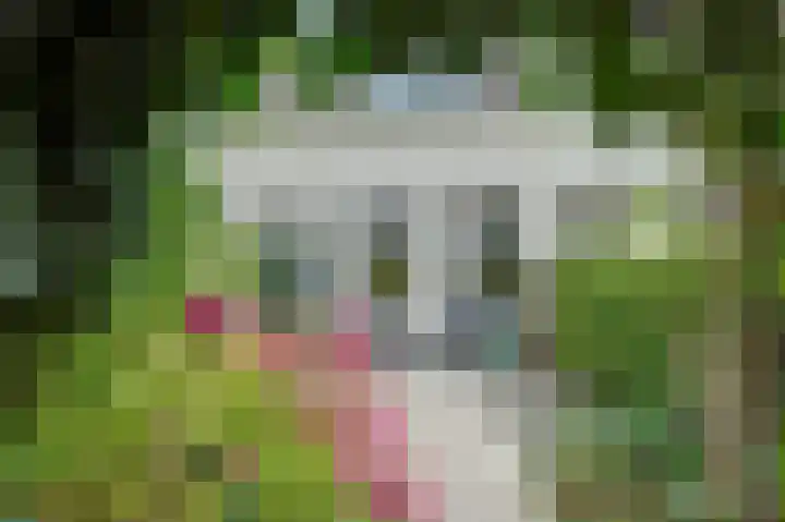Vosseleane 29 Woudsend