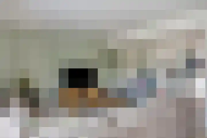 Vossenakker 31 Well thumbnail 11