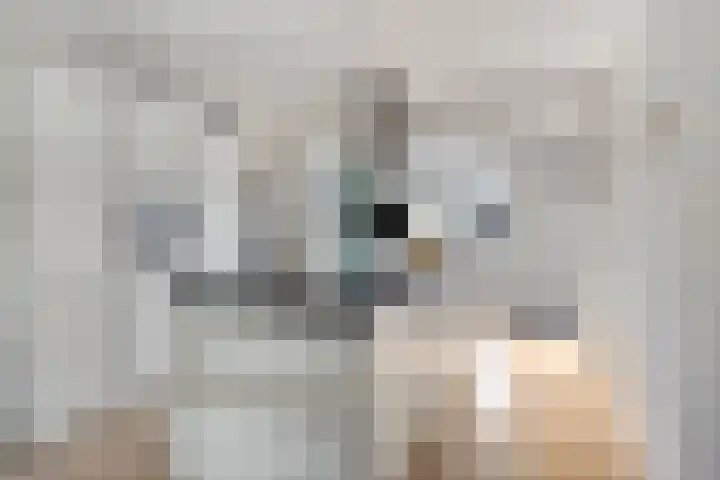Vossenakker 31 Well thumbnail 13