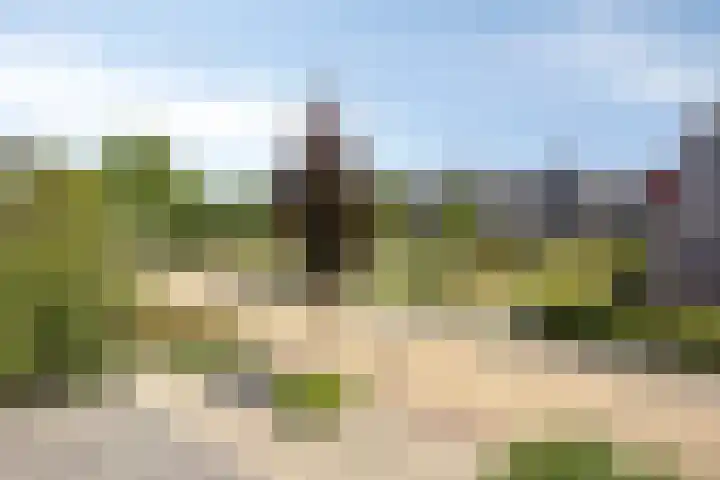 Vossenakker 31 Well thumbnail 30