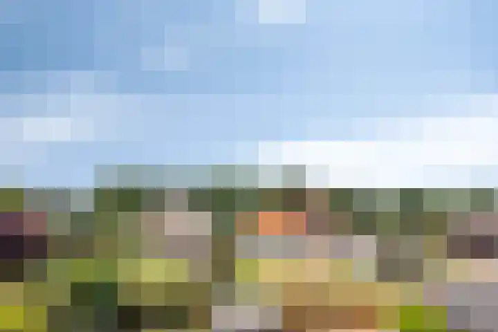 Vossenakker 31 Well thumbnail 35
