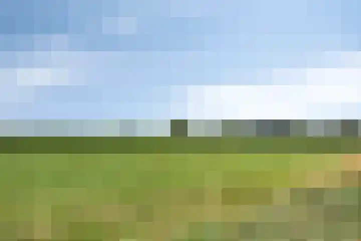 Vossenakker 31 Well thumbnail 39