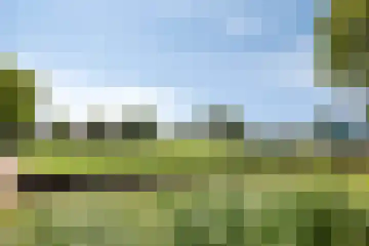 Vossenakker 31 Well thumbnail 40