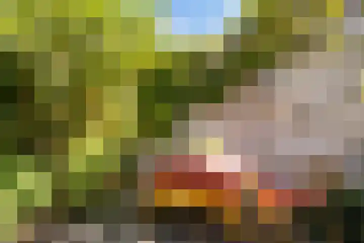 Vossenakker 31 Well thumbnail 9
