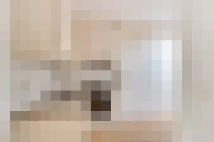 Vossenakkers 31 Heiloo thumbnail 13