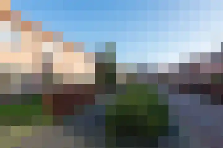 Vossenakkers 31 Heiloo thumbnail 40