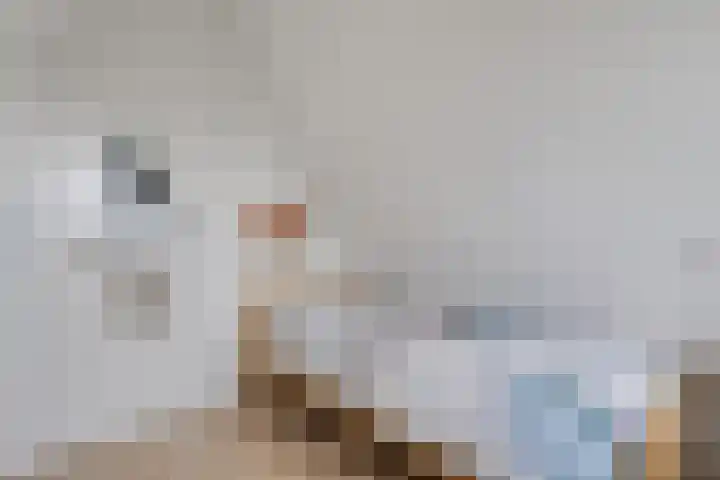 Vossenberg 14 Prinsenbeek thumbnail 27