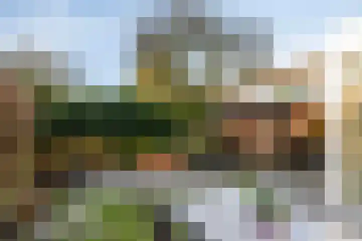 Vossenberg 14 Prinsenbeek thumbnail 29