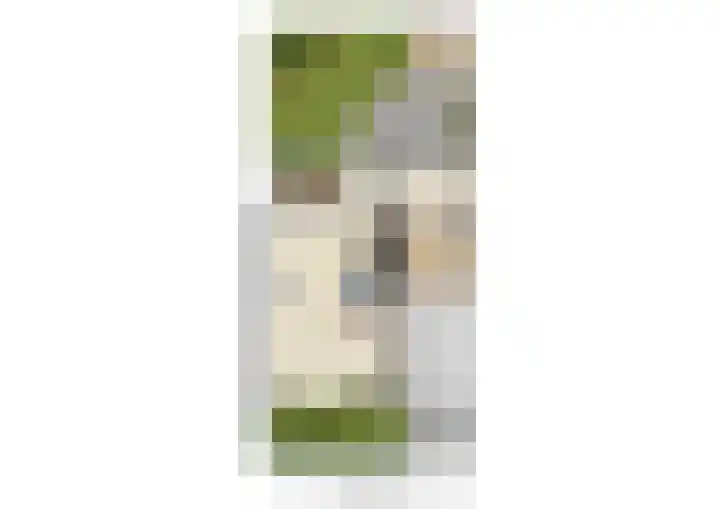 Vossenberg 14 Prinsenbeek thumbnail 39