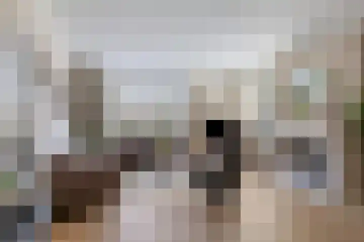 Vossenbergdreef 5 Helmond thumbnail 13