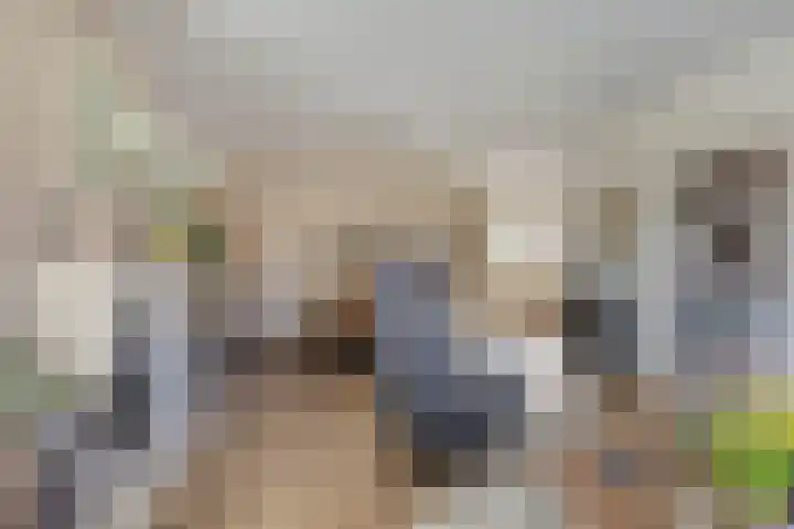 Vossenbergdreef 5 Helmond thumbnail 15