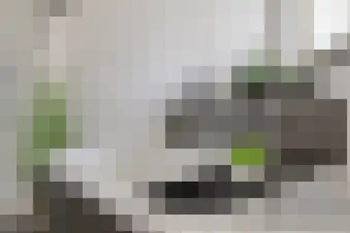 Vossenbergdreef 5 Helmond thumbnail 34