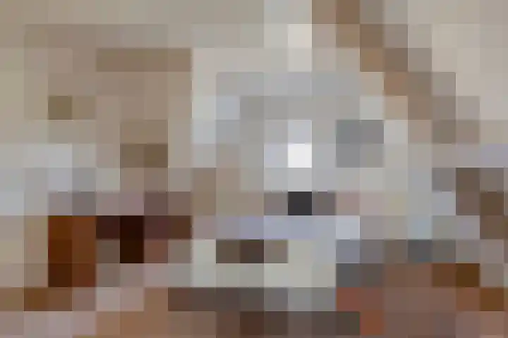 Vossenbergdreef 5 Helmond thumbnail 36