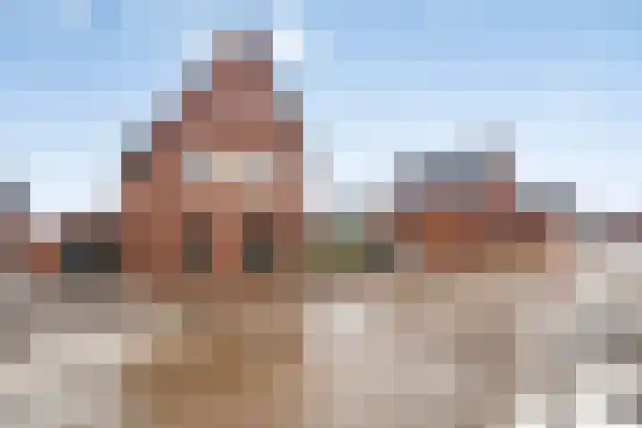 Vossenbes 30 Borne thumbnail 10
