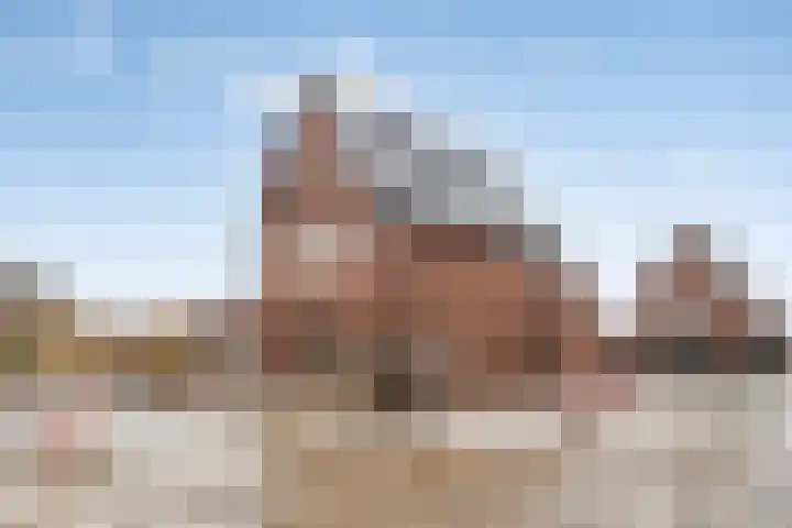 Vossenbes 30 Borne thumbnail 11