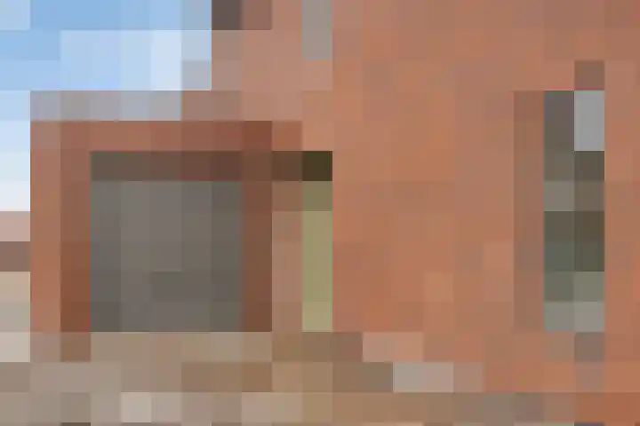 Vossenbes 30 Borne thumbnail 12