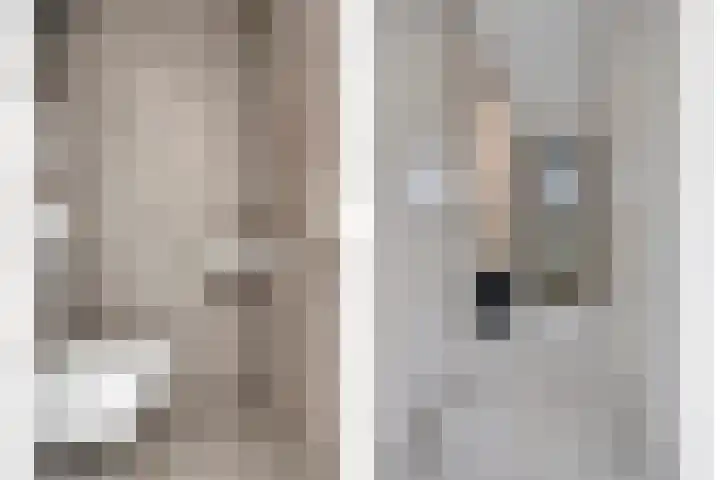 Vossenbes 30 Borne thumbnail 13