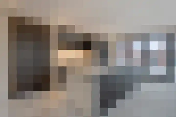 Vossenbes 30 Borne thumbnail 19