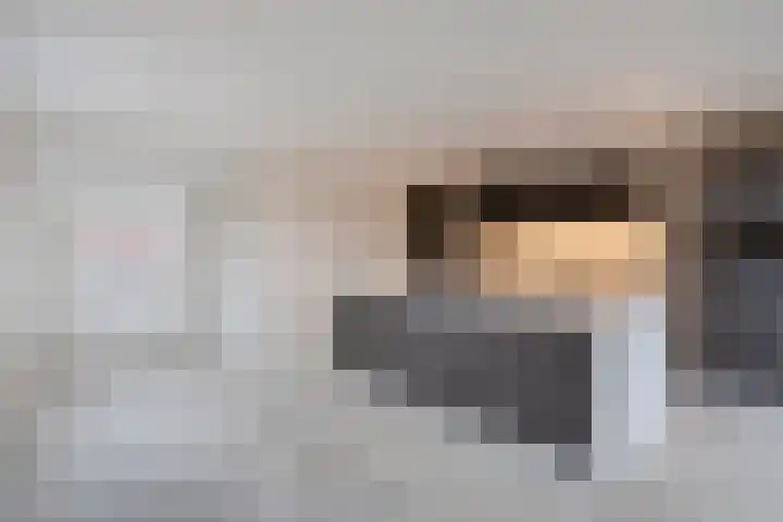 Vossenbes 30 Borne thumbnail 24
