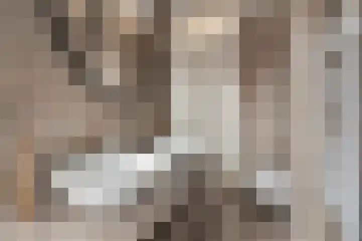 Vossenbes 30 Borne thumbnail 27