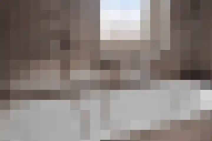 Vossenbes 30 Borne thumbnail 29
