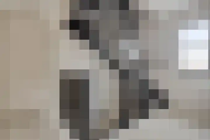 Vossenbes 30 Borne thumbnail 34