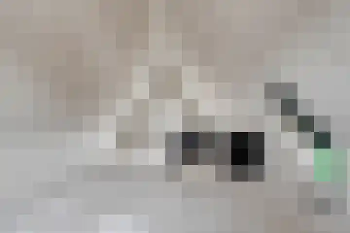 Vossenbes 30 Borne thumbnail 35