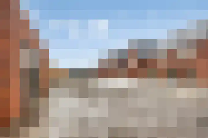 Vossenbes 30 Borne thumbnail 37
