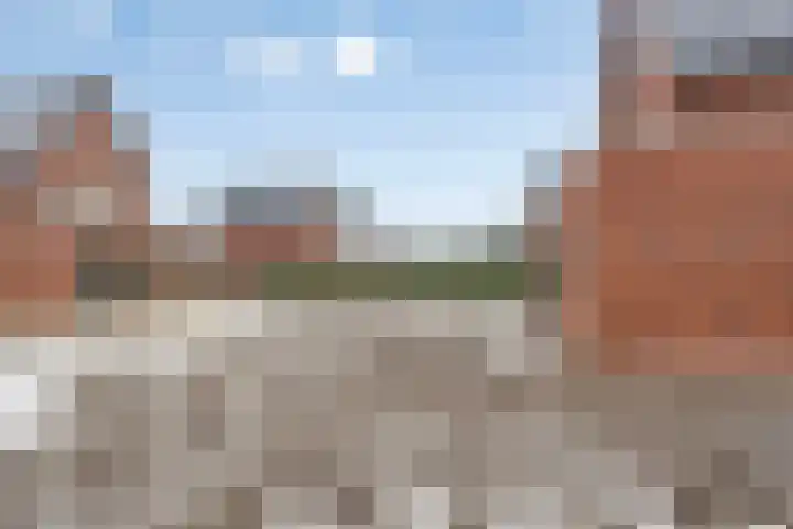 Vossenbes 30 Borne thumbnail 38