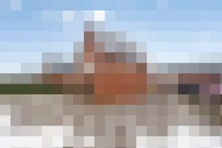 Vossenbes 30 Borne thumbnail 4